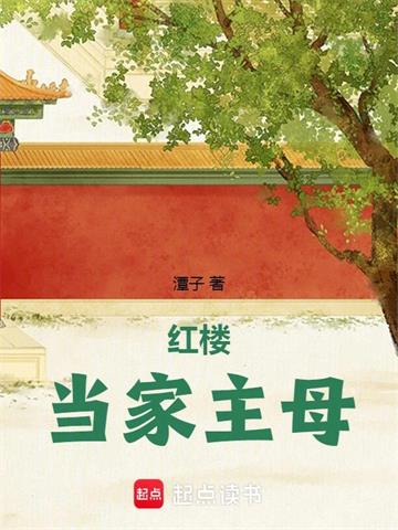 红楼当家主母