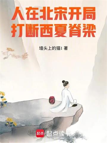 人在北宋，开局打断西夏脊梁！