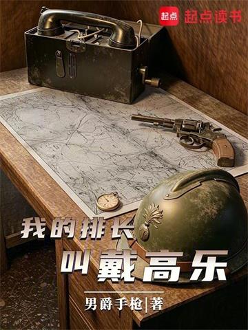 我的排长戴高乐