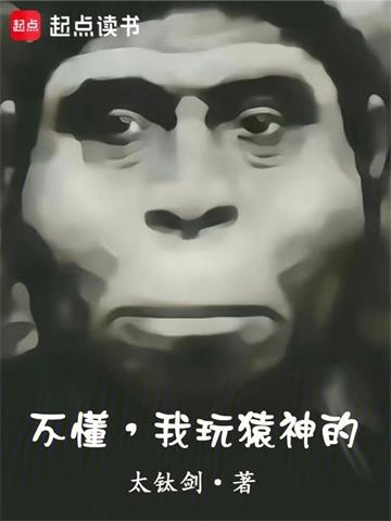 不懂，我玩猿神的